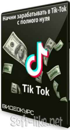 Начни зарабатывать в Tik-Tok с полного нуля (2020) Видеокурс