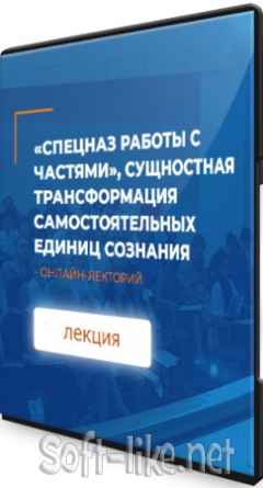 «Спецназ работы с частями», сущностная трансформация самостоятельных единиц сознания (2021) Лекция
