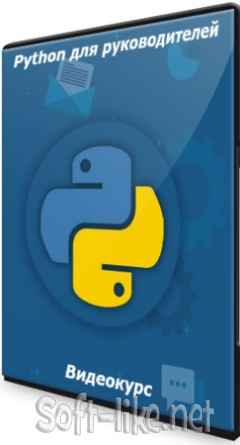 Python для руководителей (2021) Видеокурс