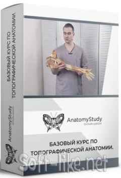 Топографическая анатомия: Базовый курс (2021) CAMRip
