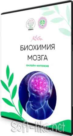 Биохимия мозга: Раскройте способности своего мозга (2021) Интенсив