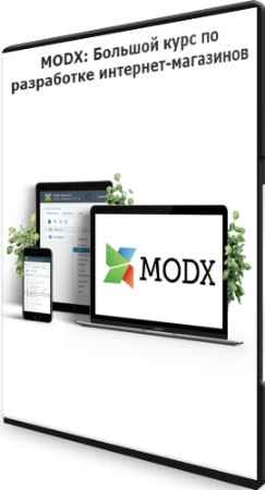 MODX: Большой курс по разработке интернет-магазинов (2022) PCRec