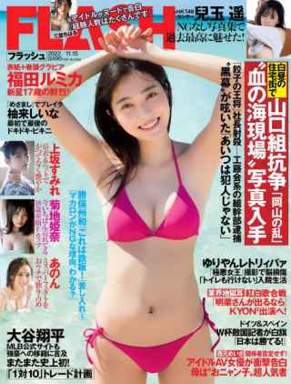 Flash N.1666 -15 November 2022