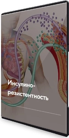 Елена Ержанова - Лечебный протокол "Инсулинорезистентность" (2023) CAMRip