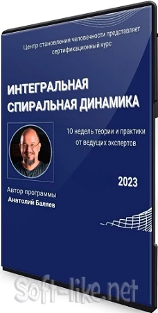 Интегральная спиральная динамика (Анатолий Баляев) (2023) Видеокурс
