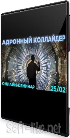 Адронный коллайдер (Владимир Макулов) (2024) Семинар