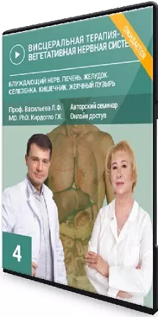 Висцеральная терапия органов брюшной полости. Дисфункции ГБД. Биодинамика блуждающего нерва (2024) Семинар