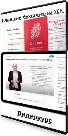 Главный бухгалтер на УСН [Клерк] (2024) Видеокурс
