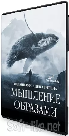 Сергей Володько, Денис Бугулов - Мышление Образами (2024) Видеокурс