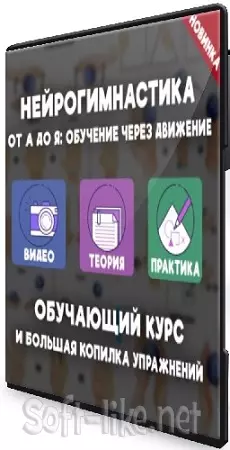 Елизавета Логвина - Нейрогимнастика от А до Я: обучение через движение (2024) Видеокурс