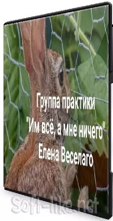 Елена Веселаго - Им всё, а мне ничего [Институт Открытого Поля] (2024) CAMRip