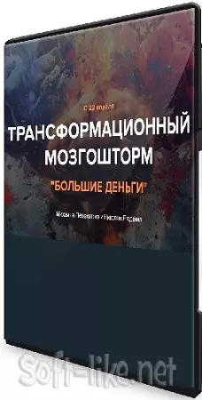 Михаил Пелехатый - Трансформационный мозгошторм «Большие деньги». Тариф (LITE) (2024) Видеокурс