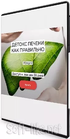 Валерий Подрубаев - Детокс печени (2024) Лекция
