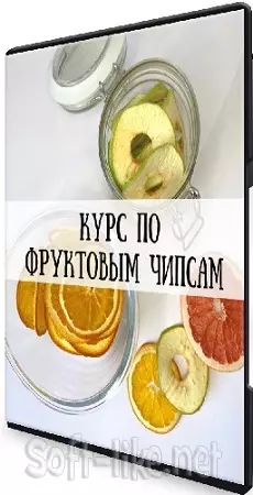 Курс по фруктовым чипсам [hurma.boom] (2024) CAMRip