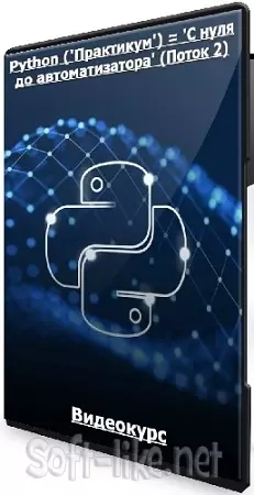 Гайзенберг - Python ('Практикум') = 'С нуля до автоматизатора' (Поток 2) (2024) Видеокурс