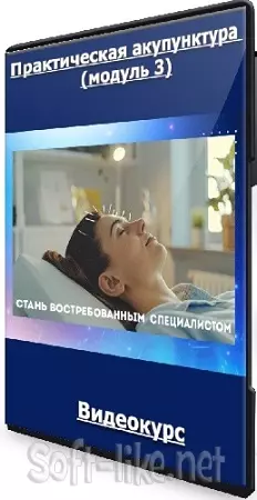 Тамара Хестанова, Станислав Сидоров - Практическая акупунктура (модуль 3) (2024) Видеокурс