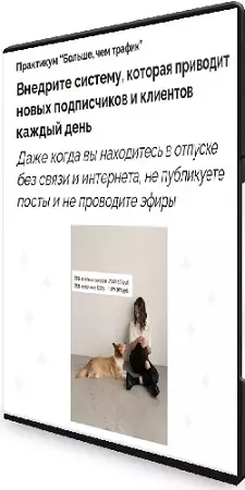 Больше, чем трафик (Евгения Васильева) (2024) Видеокурс