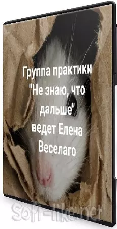 Елена Веселаго - Не знаю, что дальше (2024) Вебинар