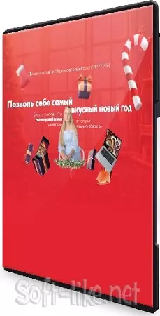 Новогодний сборник видеорецептов (Мария Галицкая) (2024) Видеокурс