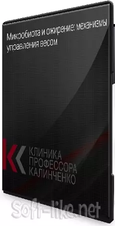 Ольга Самбурская - Микробиота и ожирение: механизмы управления весом (2024) Вебинар