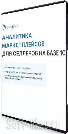 Оксана Шабрина - Аналитика маркетплейсов для селлеров на базе 1С. Тариф Lite (2024) Видеокурс
