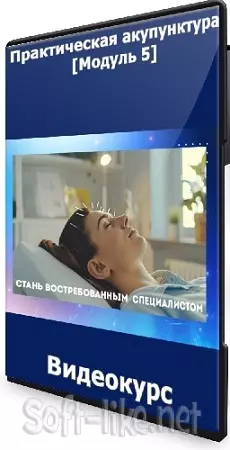 Тамара Хестанова, Станислав Сидоров - Практическая акупунктура [Модуль 5] (2024) Видеокурс