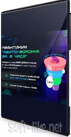 Авито-воронка за 2 часа (Владимир Иннер) (2025) Видеокурс