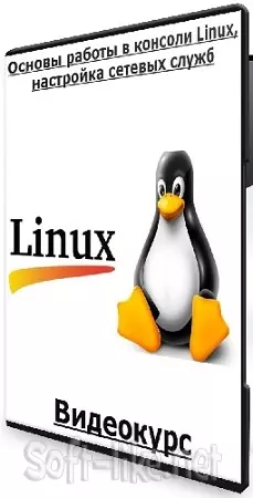 Основы работы в консоли Linux, настройка сетевых служб (2024) Видеокурс