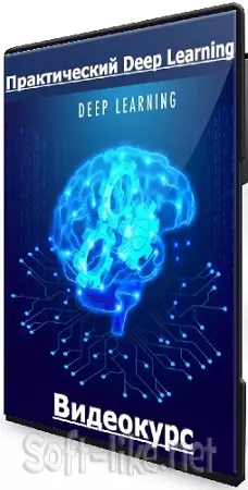 Практический Deep Learning (stepik) (2025) Видеокурс