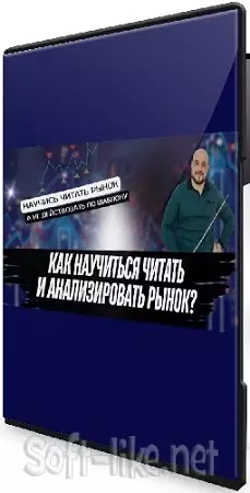 12 критериев оценки бара (Александр Пурнов) (2025) Видеокурс