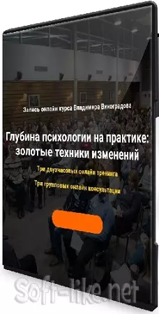 Владимир Виноградов - Глубина психологии на практике: золотые техники изменений (2025) Тренинг