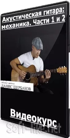 Данис Щербаков - Акустическая гитара: механика. Части 1 и 2 (2025) Видеокурс