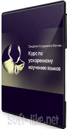 Мишган Жиган - Курс по ускоренному изучению языков (2025) CAMRip