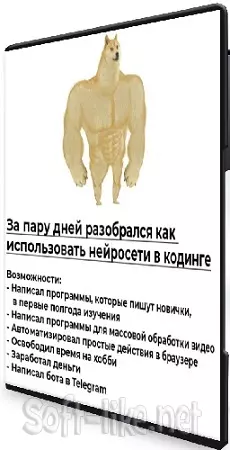 Нейросети и Python. Пишем простые скрипты и программы. Без знаний кода (2024) PCRec