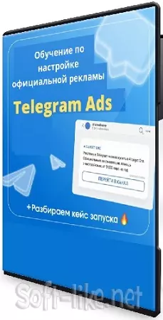 Денис Смирнов - Обучение Telegram ads. БС (2025) Видеокурс