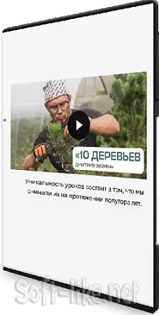 10 деревьев Дмитрия Звонка (2025) Видеокурс