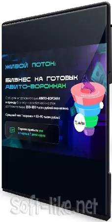 Владимир Иннер - Бизнес на готовых Авито-воронках (Тариф Бизнес) (2025) Видеокурс