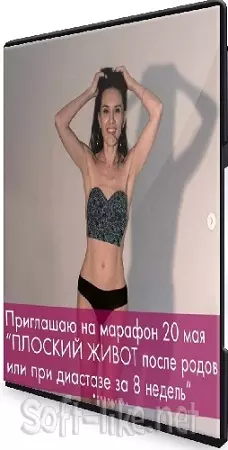 Елена Калино - Плоский живот после родов или при диастазе за 8 недель (2021) Видеокурс