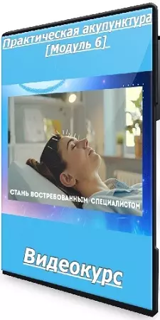 Тамара Хестанова, Станислав Сидоров - Практическая акупунктура [Модуль 6] (2025) Видеокурс