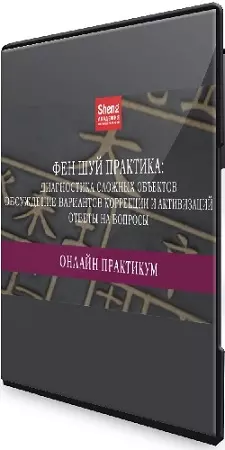 Мария Щербакова - Фен шуй практика. Диагностика сложных объектов (2025) Видеокурс