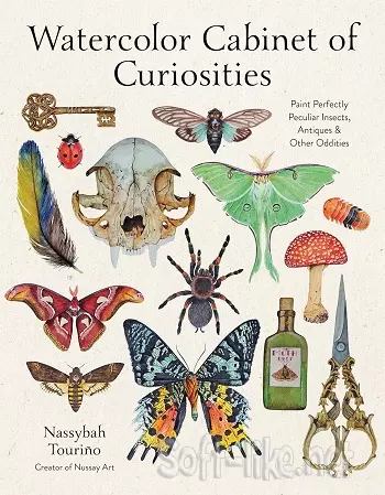 Watercolor Cabinet of Curiosities: Paint Perfectly Peculiar Insects, Antiques & Other Oddities