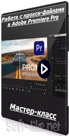 [Дмитрий Ларионов] Работа с прокси-файлами в Adobe Premiere Pro (2025) Мастер-класс