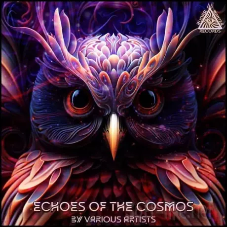 Echoes Of The Cosmos (2025) FLAC