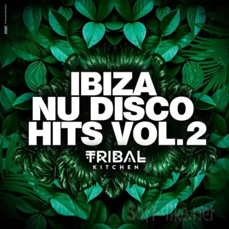 Ibiza Nu Disco Hits Vol. 2 (Tribal Kitchen) (2025) FLAC