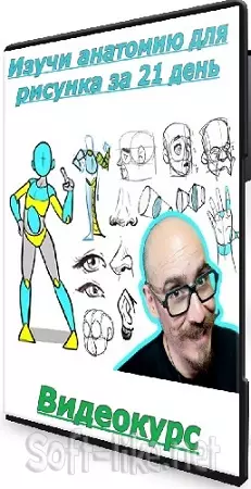 [21Draw] Изучи анатомию для рисунка за 21 день (2025) Видеокурс
