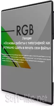 Вика Око - Основы работы с типографией: как успешно сдать в печать свои файлы (2025) PCRec