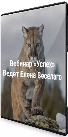 [Институт Открытого поля, Елена Веселаго] Успех (2025) Вебинар