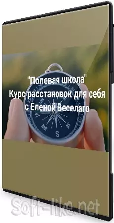 Елена Веселаго - Курс расстановок для себя (Полевая школа) (2025) CAMRip
