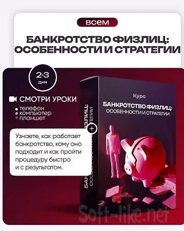 [ProFinansy] Банкротство физлиц - особенности и стратегии (2025) Видеокурс