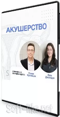 [Synapse] Акушерство (2025) Видеокурс